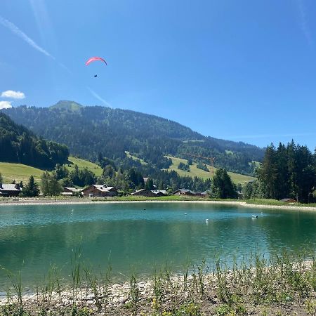 Chaleureux Appartement Renove Ambiance Chalet Praz-sur-Arly Kültér fotó