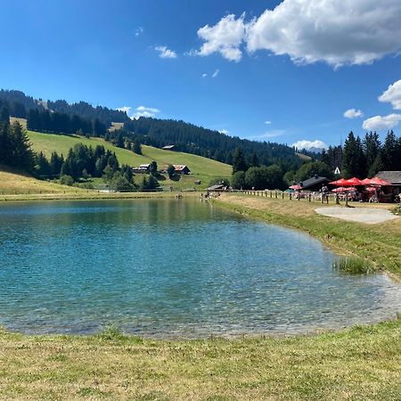 Chaleureux Appartement Renove Ambiance Chalet Praz-sur-Arly Kültér fotó