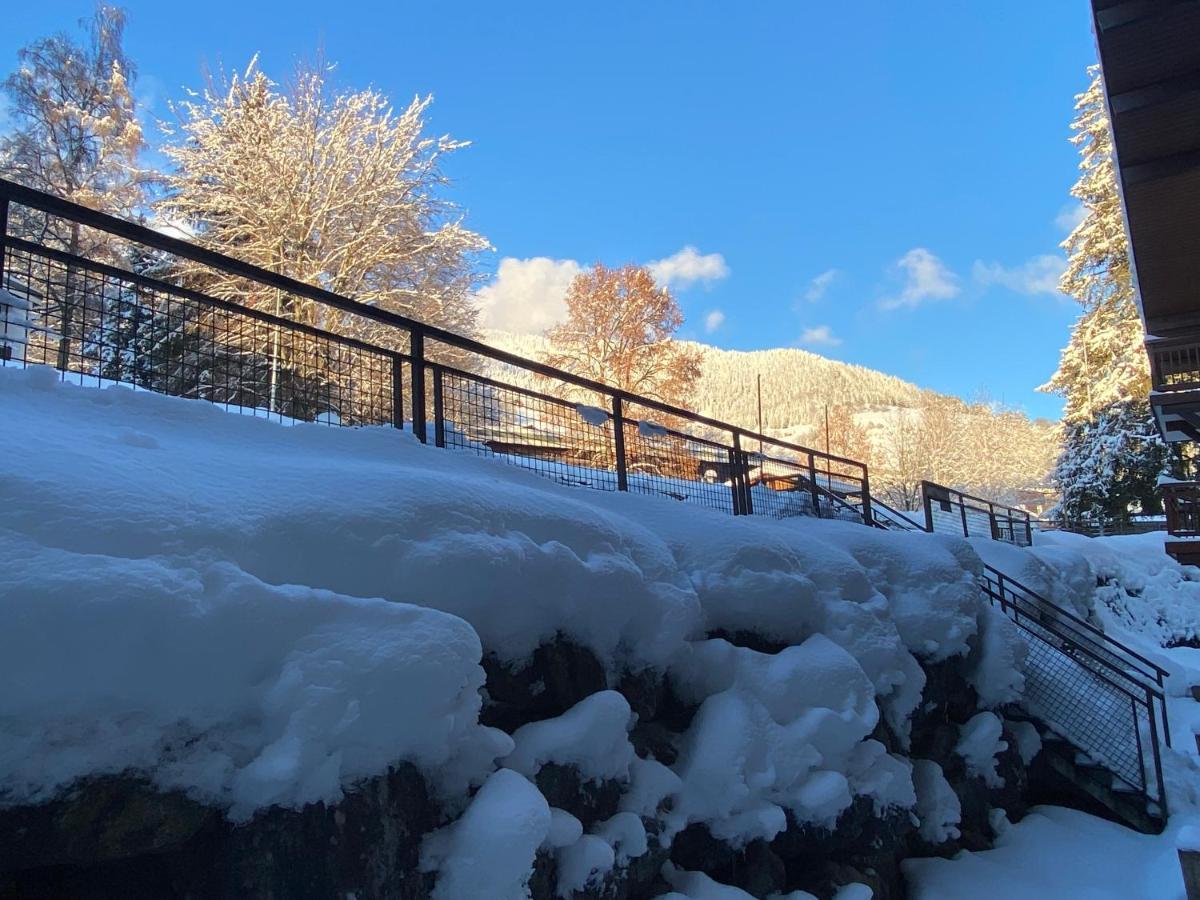 Chaleureux Appartement Renove Ambiance Chalet Praz-sur-Arly Kültér fotó