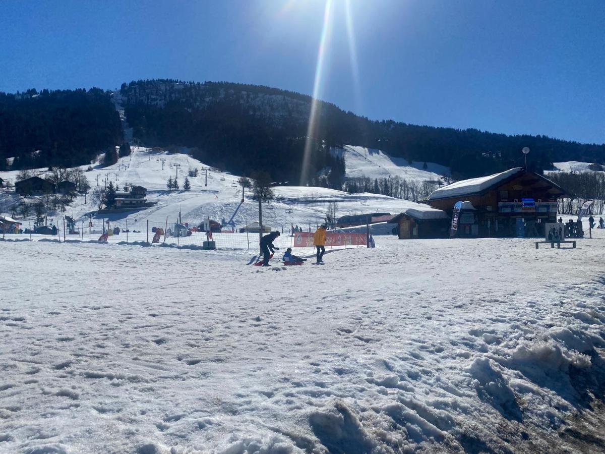 Chaleureux Appartement Renove Ambiance Chalet Praz-sur-Arly Kültér fotó